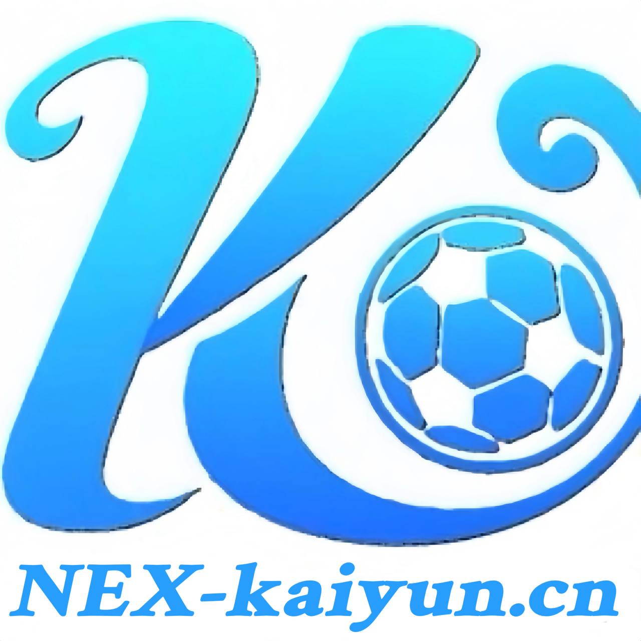 开云App官网下载 - 开云 - NEX-kaiyun